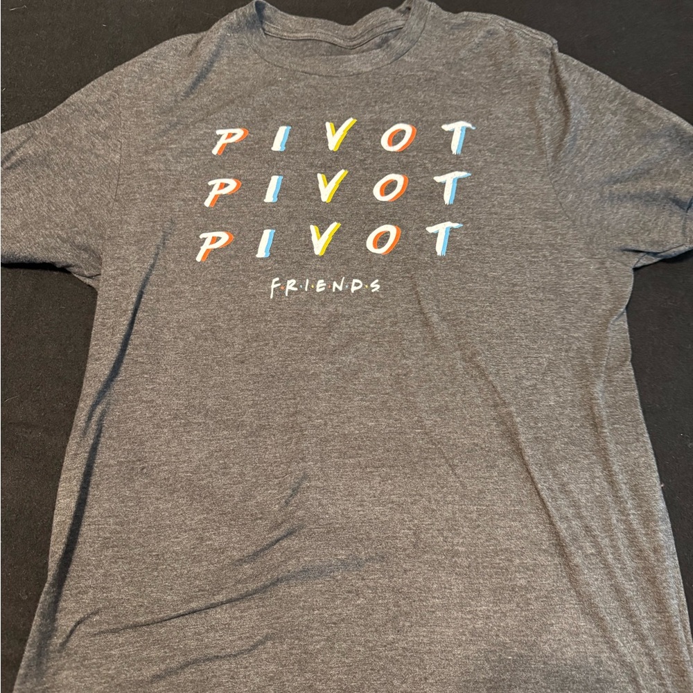 FRIENDS Gray Short Sleeve Tee with PIVOT Design
